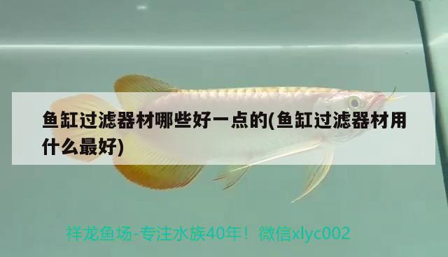 魚缸過濾器材哪些好一點的(魚缸過濾器材用什么最好)