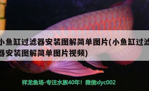 小魚缸過濾器安裝圖解簡單圖片(小魚缸過濾器安裝圖解簡單圖片視頻) 造景/裝飾