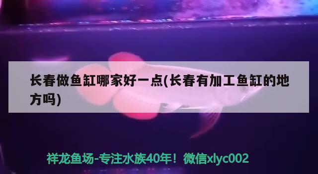 長(zhǎng)春做魚缸哪家好一點(diǎn)(長(zhǎng)春有加工魚缸的地方嗎) 熊貓異形魚L46