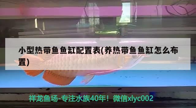 小型熱帶魚魚缸配置表(養(yǎng)熱帶魚魚缸怎么布置)