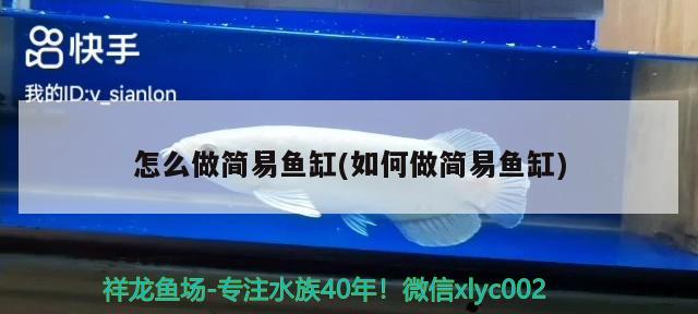 怎么做簡易魚缸(如何做簡易魚缸) 水族用品