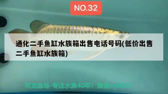 通化二手魚缸水族箱出售電話號碼(低價出售二手魚缸水族箱) 魚缸/水族箱