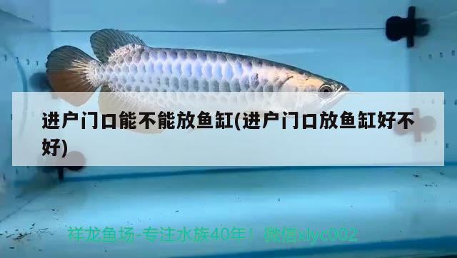 進(jìn)戶門口能不能放魚缸(進(jìn)戶門口放魚缸好不好)