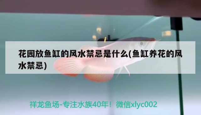 花園放魚缸的風(fēng)水禁忌是什么(魚缸養(yǎng)花的風(fēng)水禁忌) 魚缸風(fēng)水