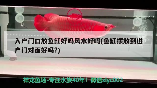 入戶門口放魚缸好嗎風水好嗎(魚缸擺放到進戶門對面好嗎?)