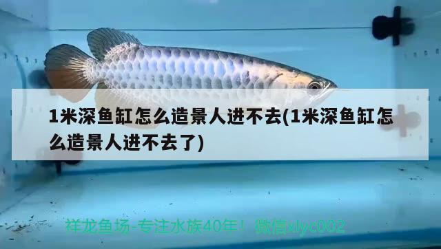 1米深魚缸怎么造景人進不去(1米深魚缸怎么造景人進不去了)