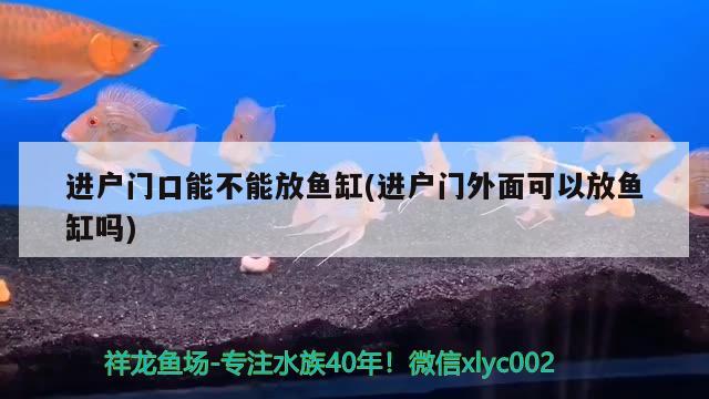 進戶門口能不能放魚缸(進戶門外面可以放魚缸嗎)