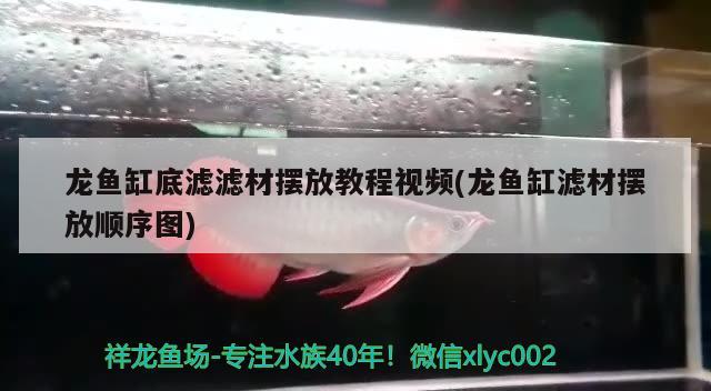 龍魚缸底濾濾材擺放教程視頻(龍魚缸濾材擺放順序圖)