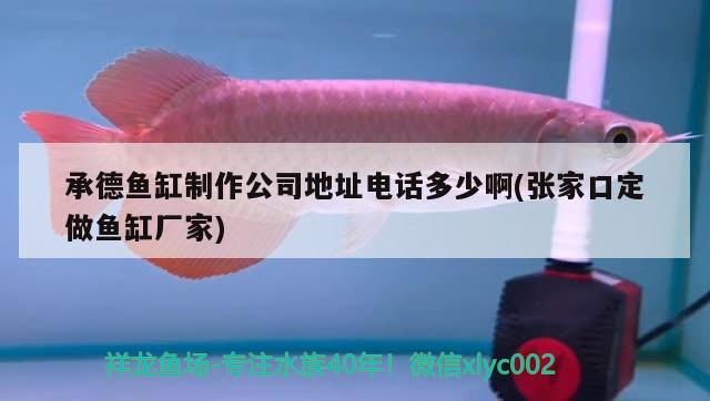 承德魚缸制作公司地址電話多少啊(張家口定做魚缸廠家)