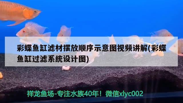 彩蝶魚缸濾材擺放順序示意圖視頻講解(彩蝶魚缸過濾系統(tǒng)設計圖) 和尚魚