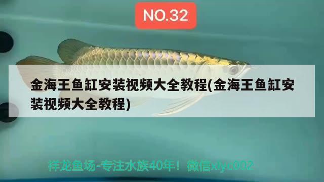 金海王魚(yú)缸安裝視頻大全教程(金海王魚(yú)缸安裝視頻大全教程) 大日玉鯖魚(yú)