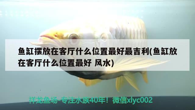 魚缸擺放在客廳什么位置最好最吉利(魚缸放在客廳什么位置最好風水) 魚缸風水