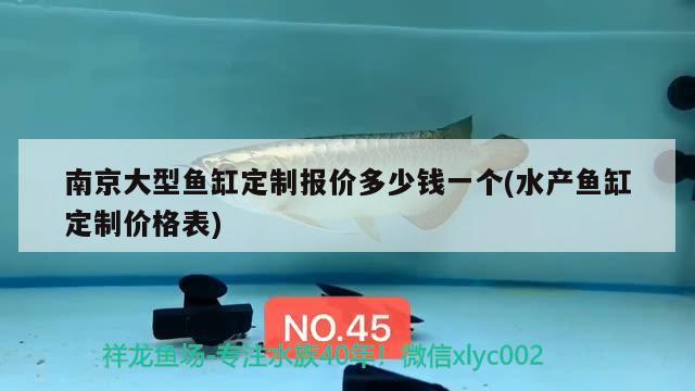 南京大型魚缸定制報價多少錢一個(水產(chǎn)魚缸定制價格表) 養(yǎng)魚的好處