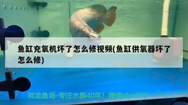 魚缸充氧機壞了怎么修視頻(魚缸供氧器壞了怎么修) 潛水泵