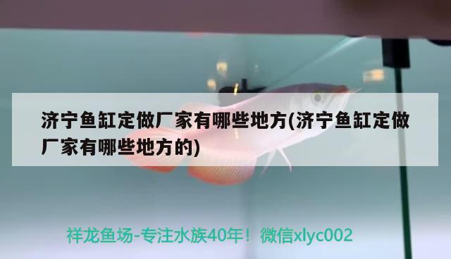 濟寧魚缸定做廠家有哪些地方(濟寧魚缸定做廠家有哪些地方的) 大正錦鯉魚