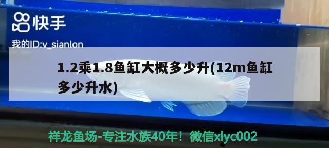 1.2乘1.8魚缸大概多少升(12m魚缸多少升水)