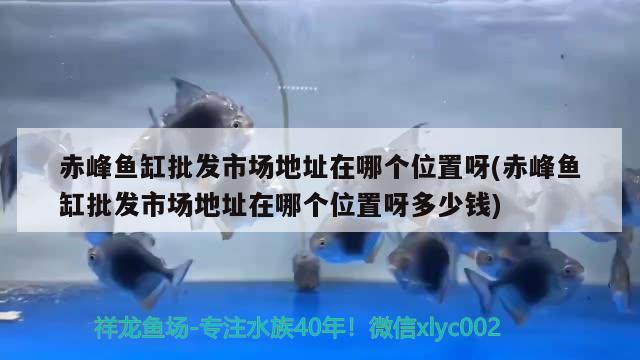 赤峰魚缸批發(fā)市場(chǎng)地址在哪個(gè)位置呀(赤峰魚缸批發(fā)市場(chǎng)地址在哪個(gè)位置呀多少錢) 造景/裝飾