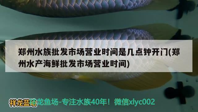 鄭州水族批發(fā)市場營業(yè)時間是幾點鐘開門(鄭州水產(chǎn)海鮮批發(fā)市場營業(yè)時間) 觀賞魚水族批發(fā)市場