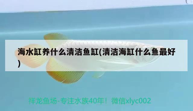 海水缸養(yǎng)什么清潔魚缸(清潔海缸什么魚最好) 硝化細菌