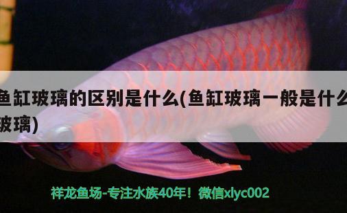 魚(yú)缸玻璃的區(qū)別是什么(魚(yú)缸玻璃一般是什么玻璃)