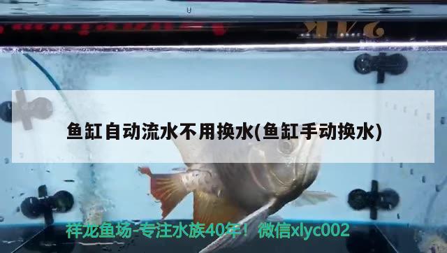 魚缸自動流水不用換水(魚缸手動換水)