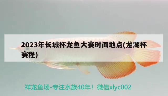 2023年長城杯龍魚大賽時間地點(龍湖杯賽程)