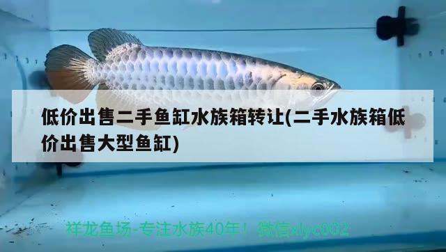 低價(jià)出售二手魚缸水族箱轉(zhuǎn)讓(二手水族箱低價(jià)出售大型魚缸)