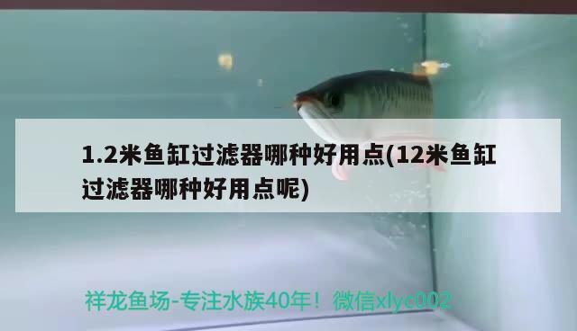 1.2米魚缸過濾器哪種好用點(12米魚缸過濾器哪種好用點呢) 稀有金龍魚