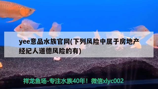 yee意品水族官網(wǎng)(下列風(fēng)險中屬于房地產(chǎn)經(jīng)紀(jì)人道德風(fēng)險的有) yee