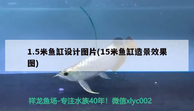 1.5米魚缸設計圖片(15米魚缸造景效果圖)