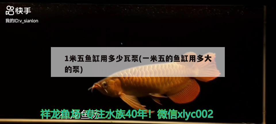 1米五魚缸用多少瓦泵(一米五的魚缸用多大的泵) 麥肯斯銀版魚