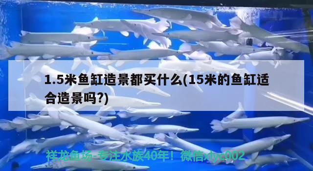 1.5米魚缸造景都買什么(15米的魚缸適合造景嗎?)