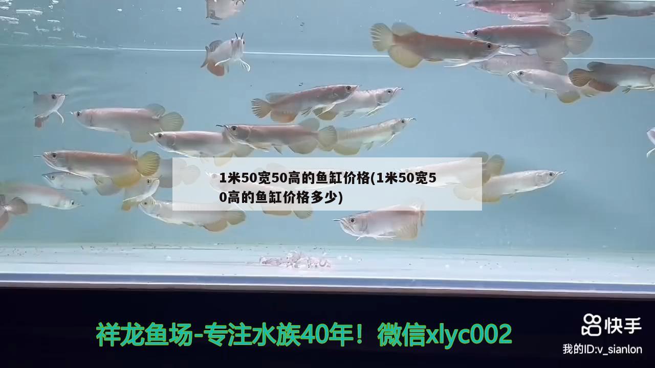 1米50寬50高的魚(yú)缸價(jià)格(1米50寬50高的魚(yú)缸價(jià)格多少) 印尼三紋虎