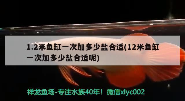 1.2米魚(yú)缸一次加多少鹽合適(12米魚(yú)缸一次加多少鹽合適呢) 泰龐海鰱魚(yú)