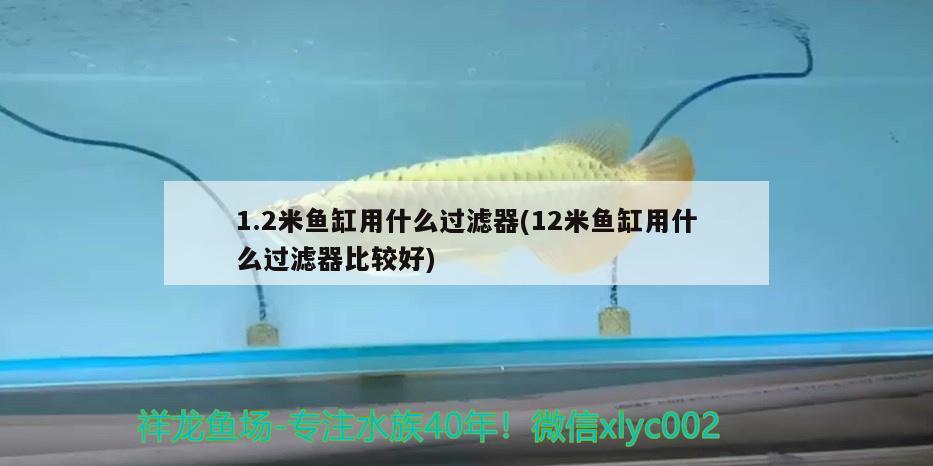 1.2米魚缸用什么過濾器(12米魚缸用什么過濾器比較好)