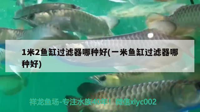 1米2魚缸過濾器哪種好(一米魚缸過濾器哪種好)