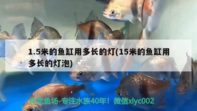 1.5米的魚缸用多長的燈(15米的魚缸用多長的燈泡)