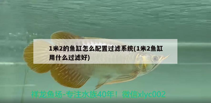 1米2的魚缸怎么配置過濾系統(tǒng)(1米2魚缸用什么過濾好)