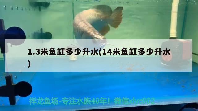 1.3米魚(yú)缸多少升水(14米魚(yú)缸多少升水)