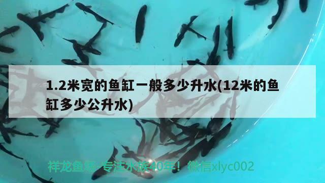 1.2米寬的魚缸一般多少升水(12米的魚缸多少公升水)