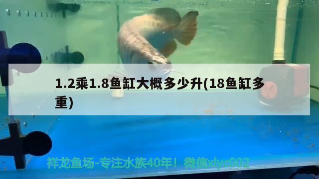 1.2乘1.8魚缸大概多少升(18魚缸多重)