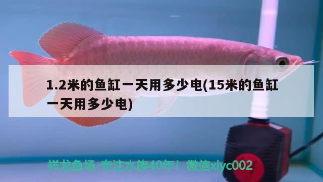 1.2米的魚缸一天用多少電(15米的魚缸一天用多少電)