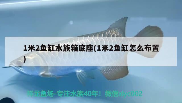 1米2魚(yú)缸水族箱底座(1米2魚(yú)缸怎么布置)