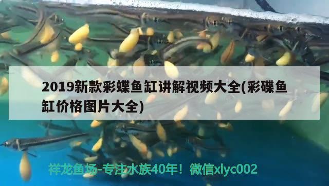 2019新款彩蝶魚(yú)缸講解視頻大全(彩碟魚(yú)缸價(jià)格圖片大全) 七彩神仙魚(yú)