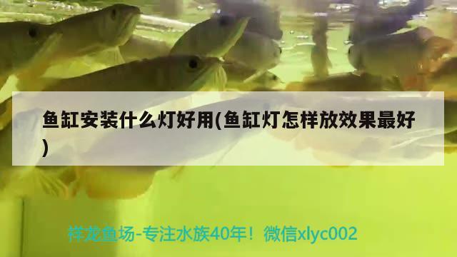 魚缸安裝什么燈好用(魚缸燈怎樣放效果最好) 黃金貓魚百科