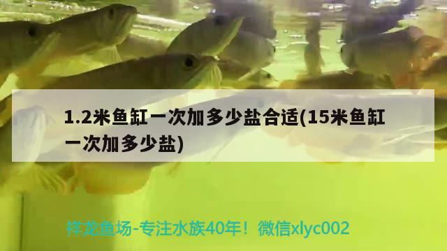 1.2米魚缸一次加多少鹽合適(15米魚缸一次加多少鹽) 斯維尼關刀魚