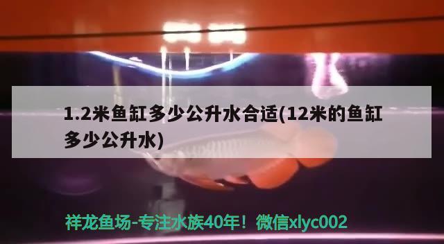 1.2米魚缸多少公升水合適(12米的魚缸多少公升水) 水族世界