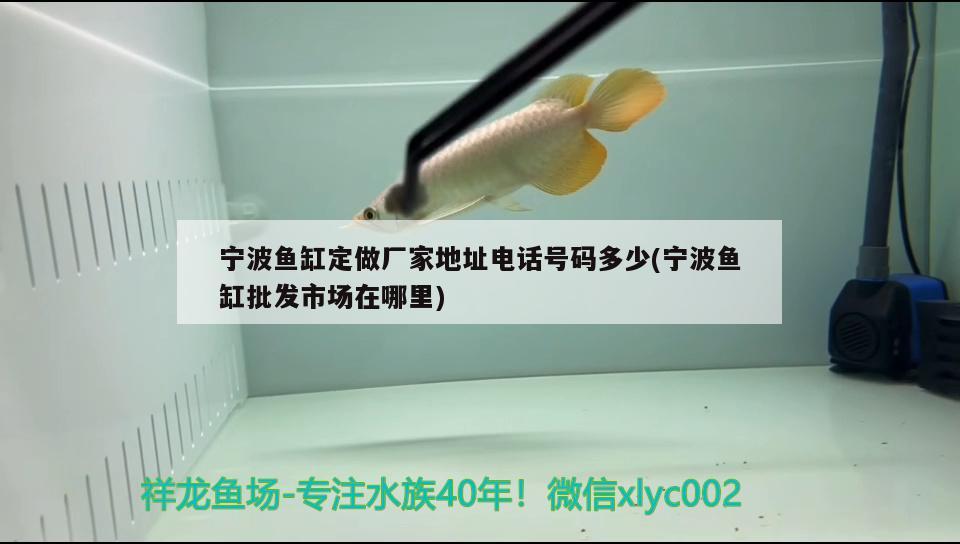 寧波魚(yú)缸定做廠家地址電話號(hào)碼多少(寧波魚(yú)缸批發(fā)市場(chǎng)在哪里) 雙線側(cè)魚(yú)