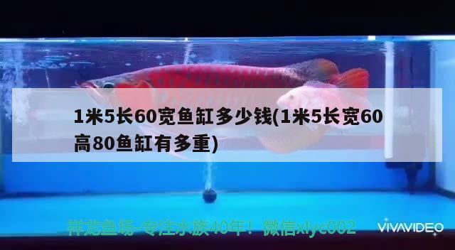 1米5長60寬魚缸多少錢(1米5長寬60高80魚缸有多重) 元寶鯽