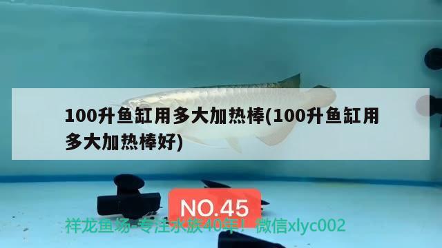 100升魚缸用多大加熱棒(100升魚缸用多大加熱棒好) 女王大帆魚